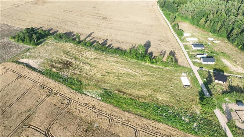 Działka - Stare Bielice Platanowe - Widok 3