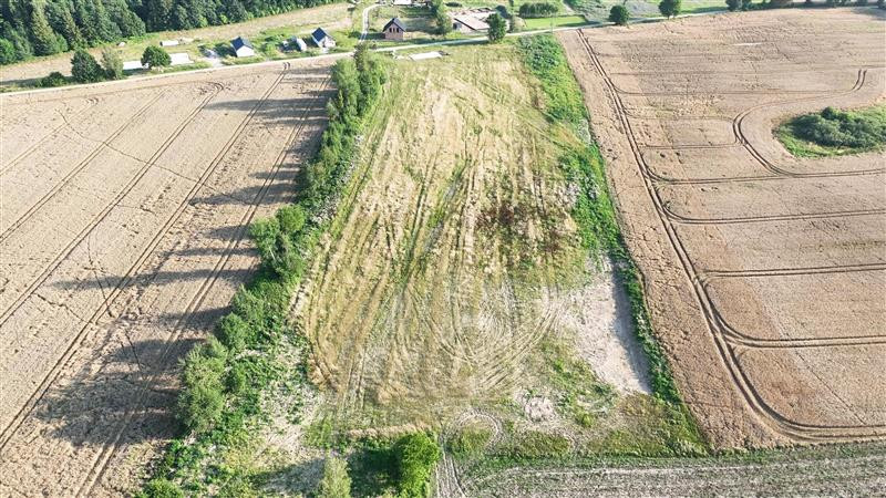 Działka - Stare Bielice Platanowe - Widok 5