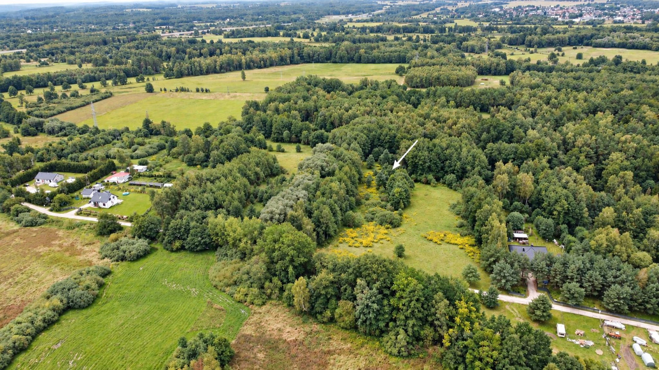 gratka-87/2023/OMW - Widok 3