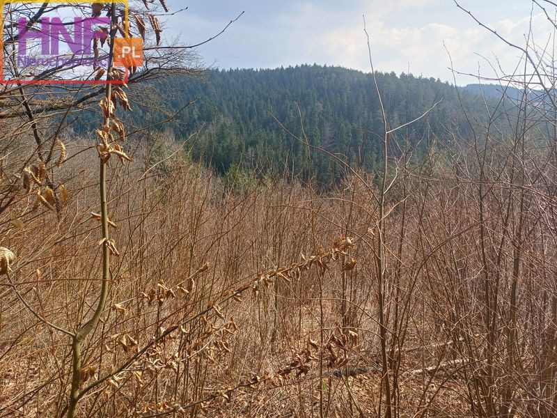 Działka rolna Kunów 21ar - Widok 5