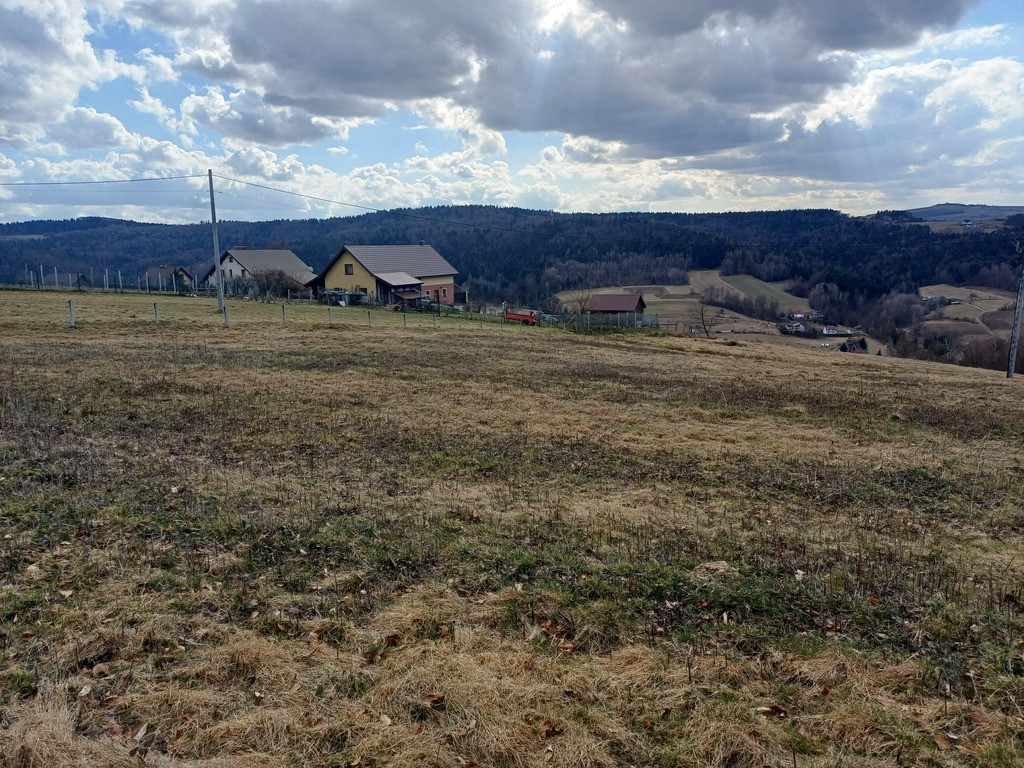 Podole Górowa 12,7a i 13,6a z widokiem na jezioro - Widok 5