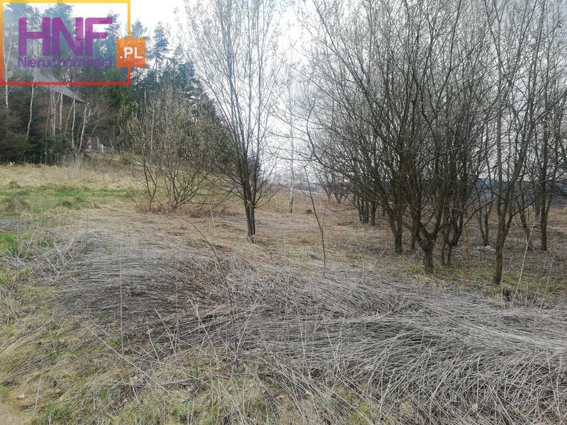 działka budowlana w Rożnowie 13ar - Widok 5