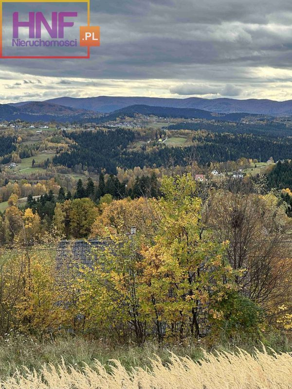 Widokowa działka budowlana 8ar w Paszynie - Widok 2