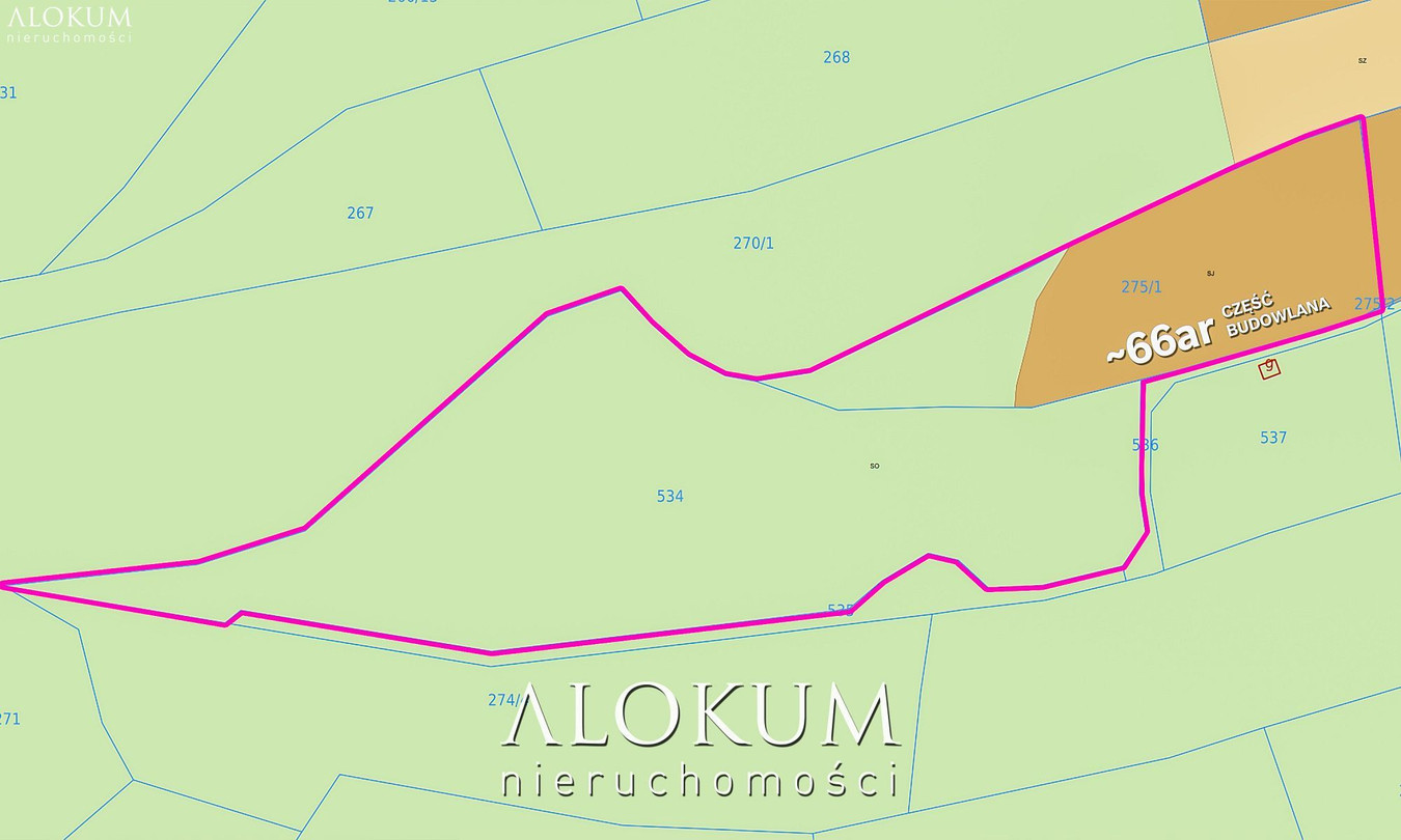3 HEKTARY Z WIDOKIEM NA GÓRY - Widok 4