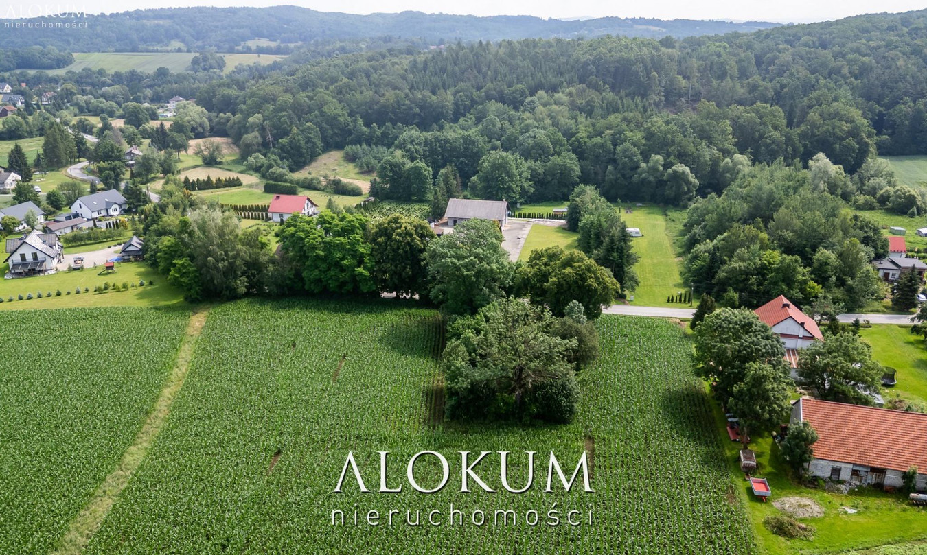 DZIAŁKA ZALESIANY - Widok 5