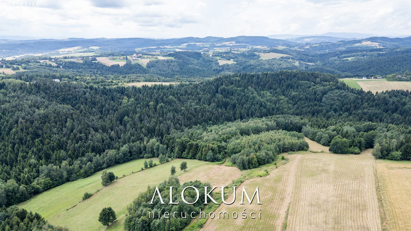 3 HEKTARY Z WIDOKIEM NA GÓRY - Widok 5