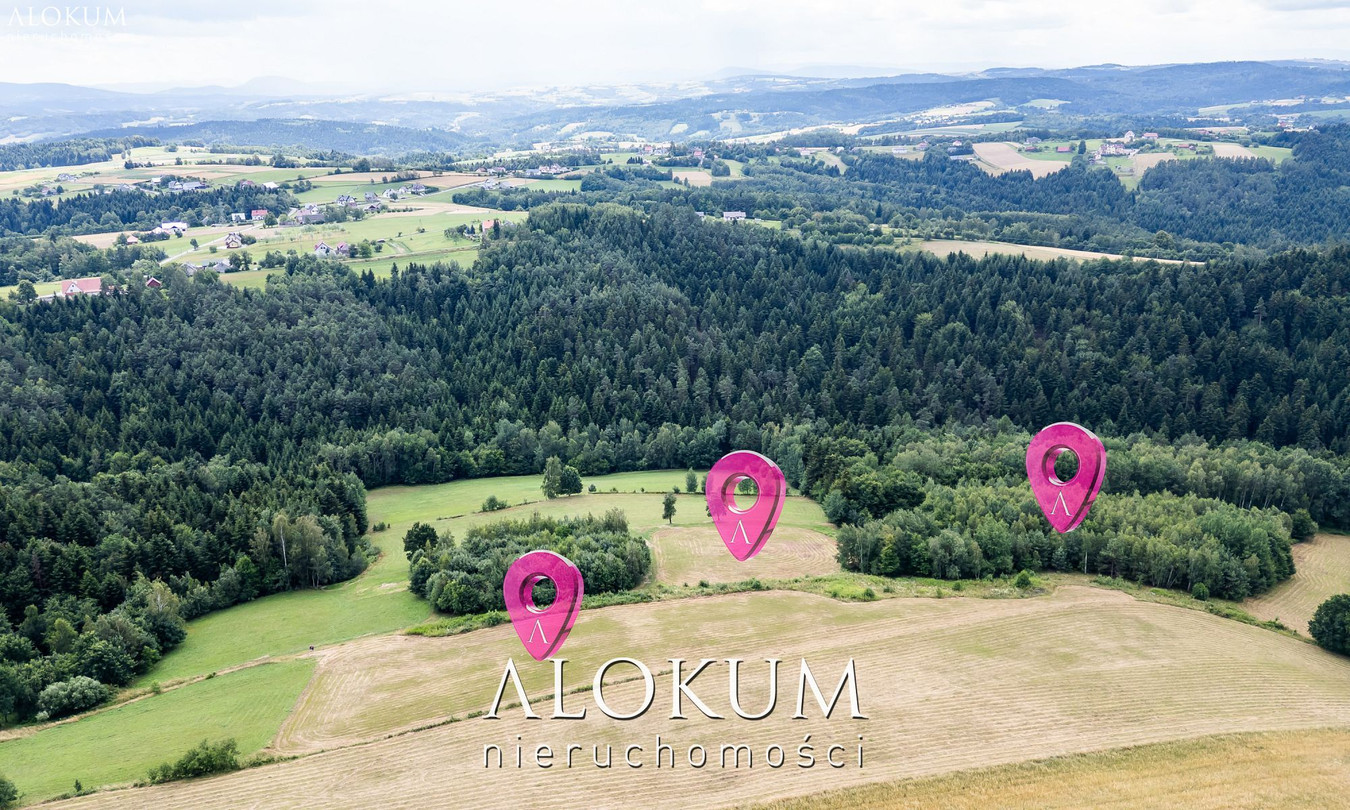 3 HEKTARY Z WIDOKIEM NA GÓRY - Widok 2