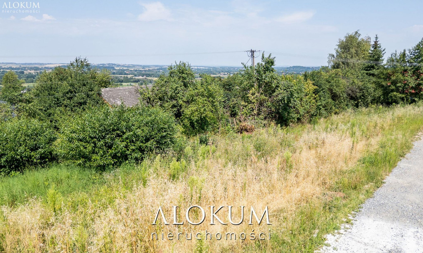 DZIAŁKI BUCZYNA - Widok 4