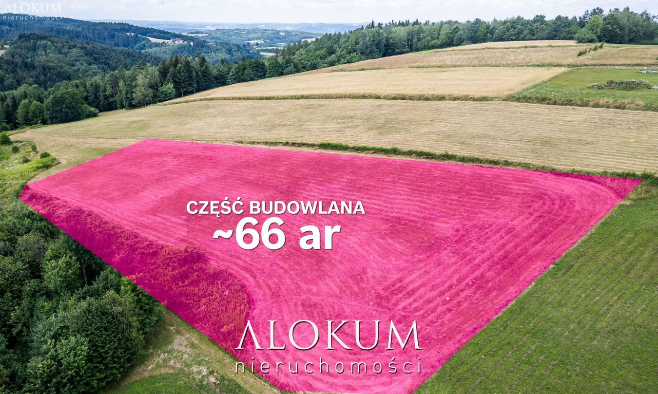 3 HEKTARY Z WIDOKIEM NA GÓRY - Widok 3