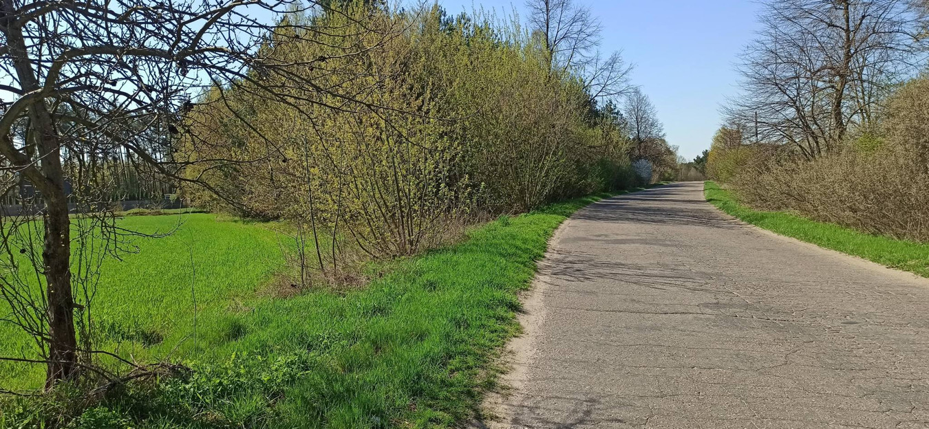 Działka w pobliżu rzeki, Gutarzewo - Widok 4
