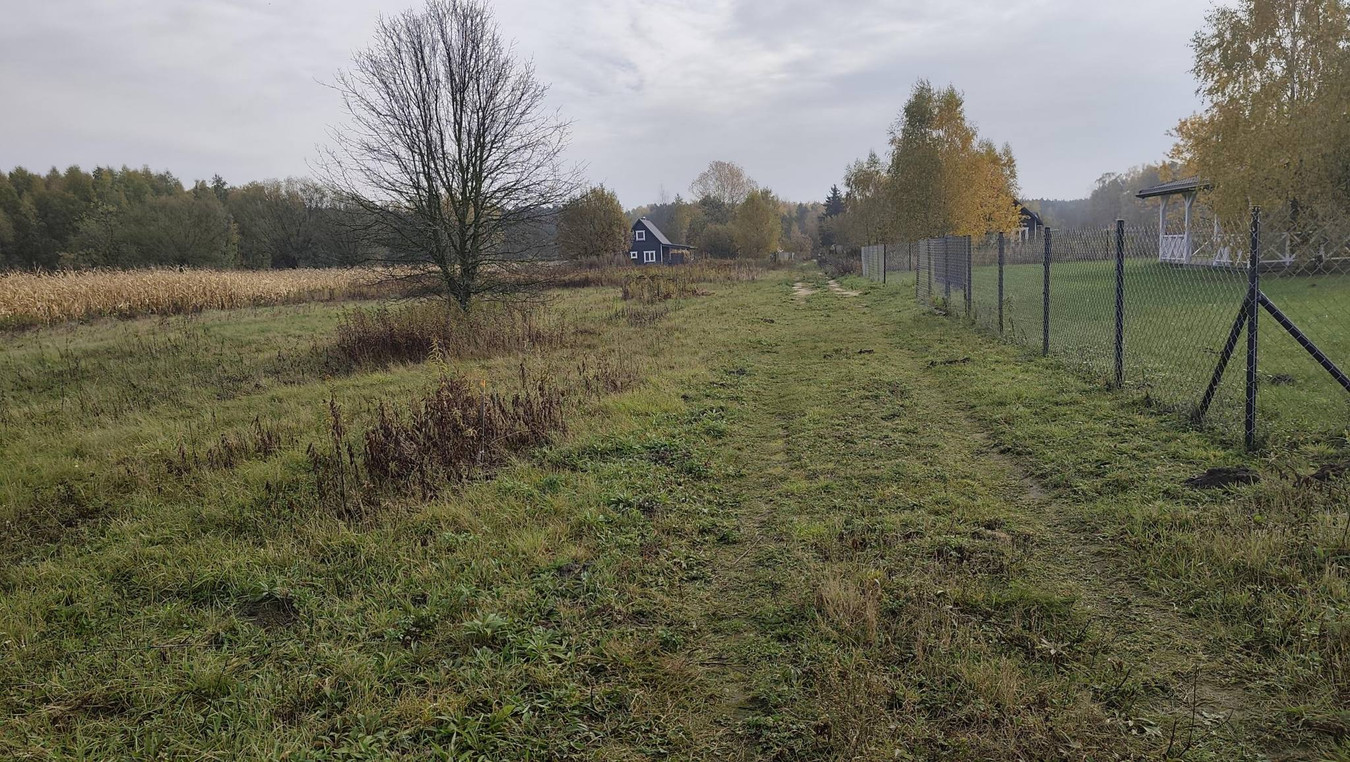 Działka Krajęczyn z WZ 1000 m² - Widok 2