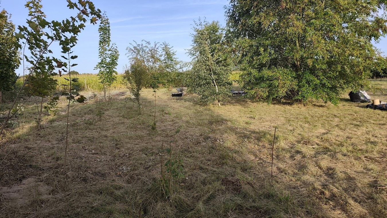 Działka bardzo budowlana - Więcej