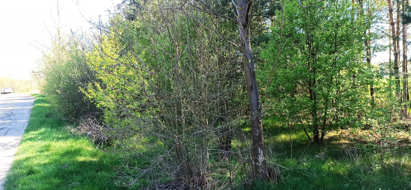 Działka w pobliżu rzeki, Gutarzewo - Widok 5