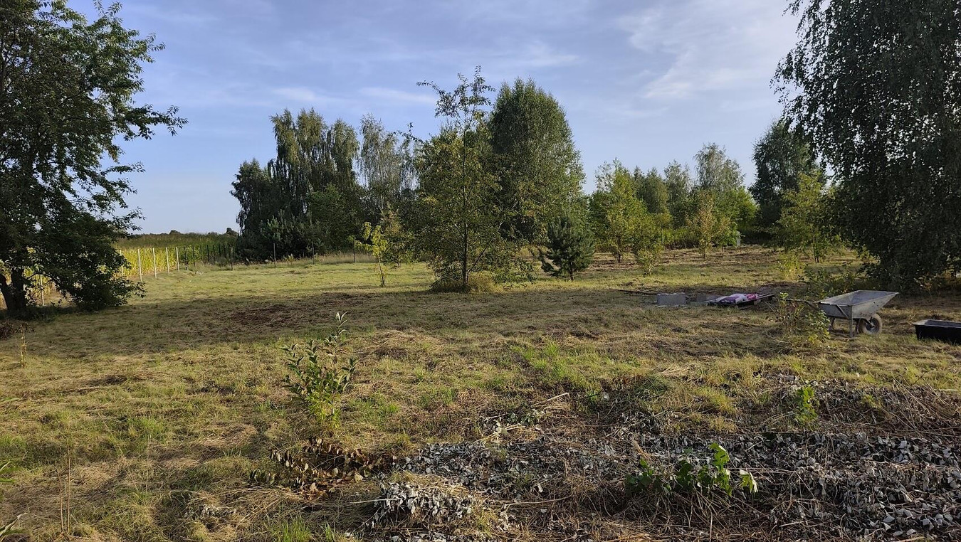 Działka bardzo budowlana - Widok 5