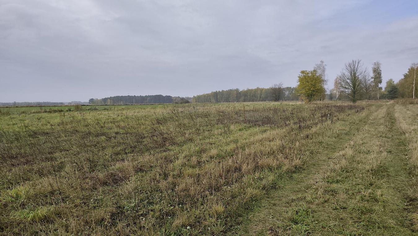 Działka Krajęczyn z WZ 1000 m² - Widok 3