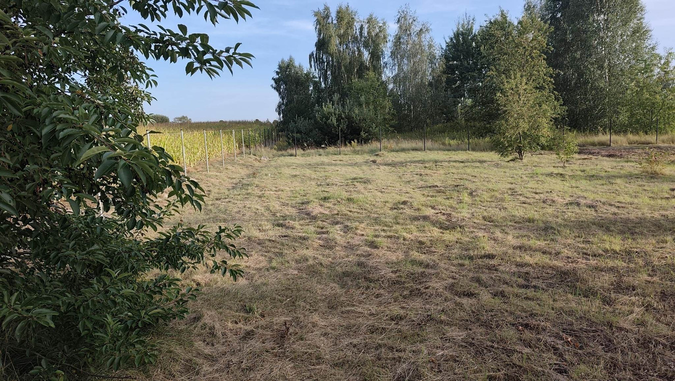 Działka bardzo budowlana - Widok 3