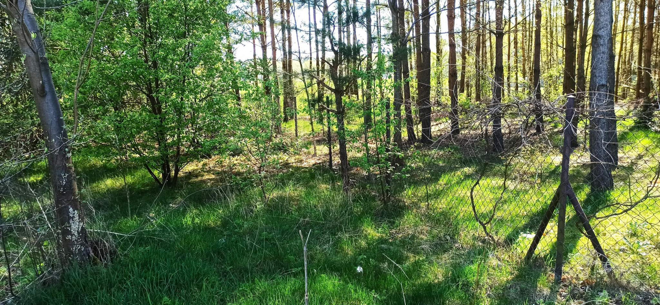 Działka w pobliżu rzeki, Gutarzewo - Widok 2