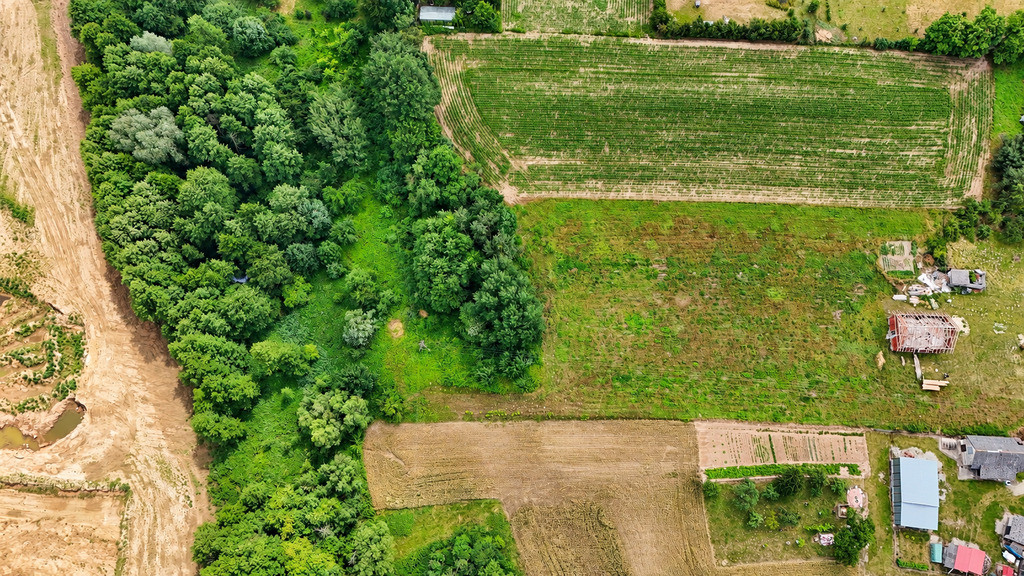 Dobra | 2291 m² | działka z WZ - Widok 4