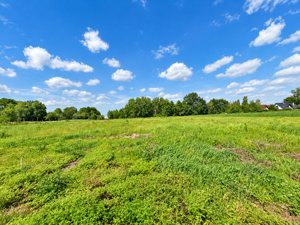 Dobra | 2291 m² | działka z WZ - Widok 3