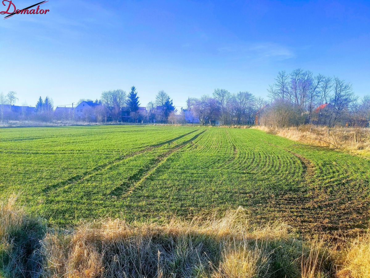 Spalona- 2 działki budowlane - Widok 4