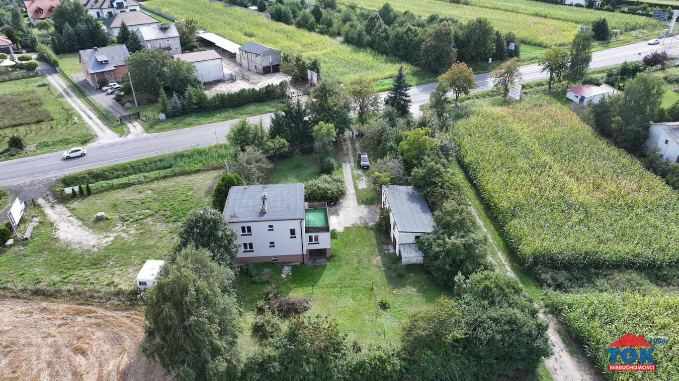 Nieruchomość przy DK92 (Konin / Golina) – Działka 4000m² z WZ na halę/magazyn - Widok 4