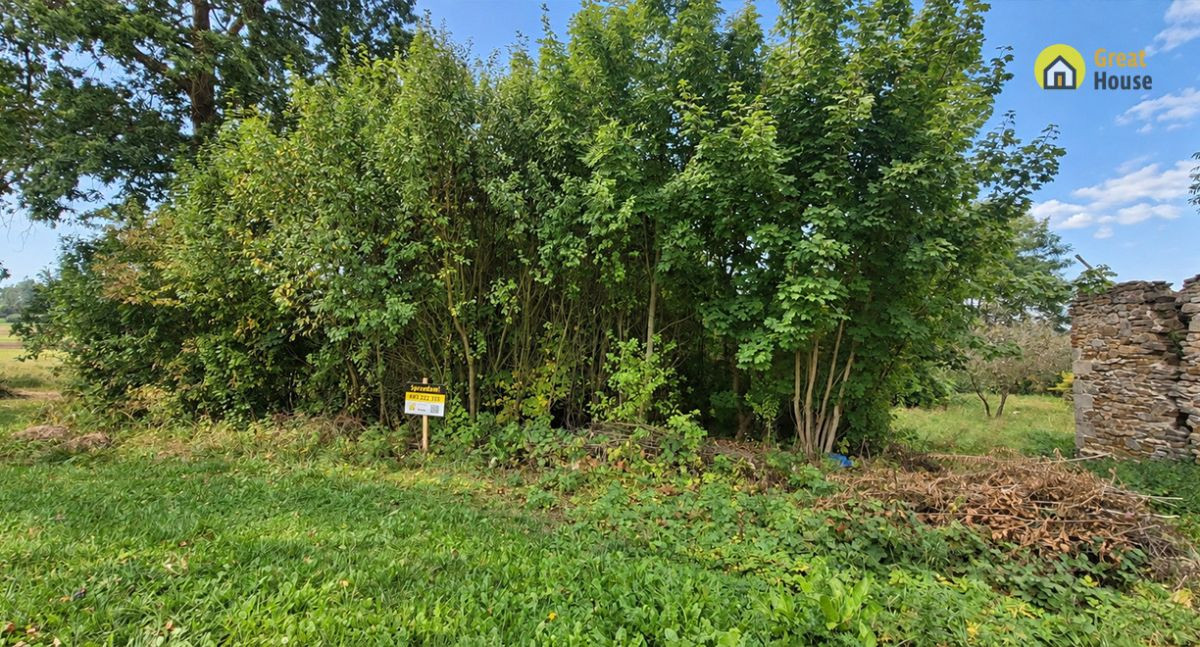 Działka 7700 m² | Brudzów | Gmina Morawica - Widok 3