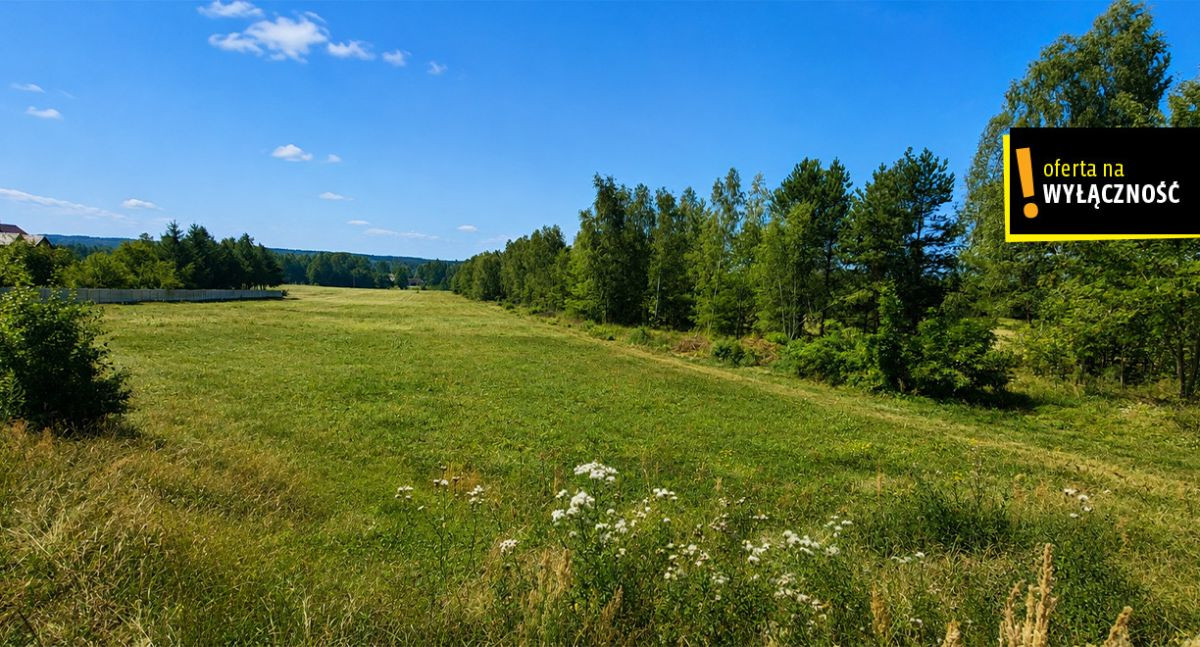 Działka budowlana 1369 m², Nalewajków - Widok 4