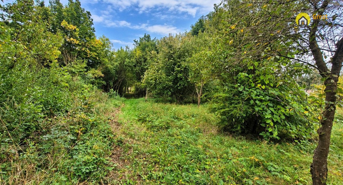 Działka 7700 m² | Brudzów | Gmina Morawica - Widok 2