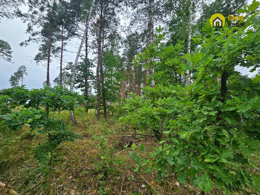 Wyjątkowa działka leśna w Strzegomku - 1,0069 ha - Widok 4