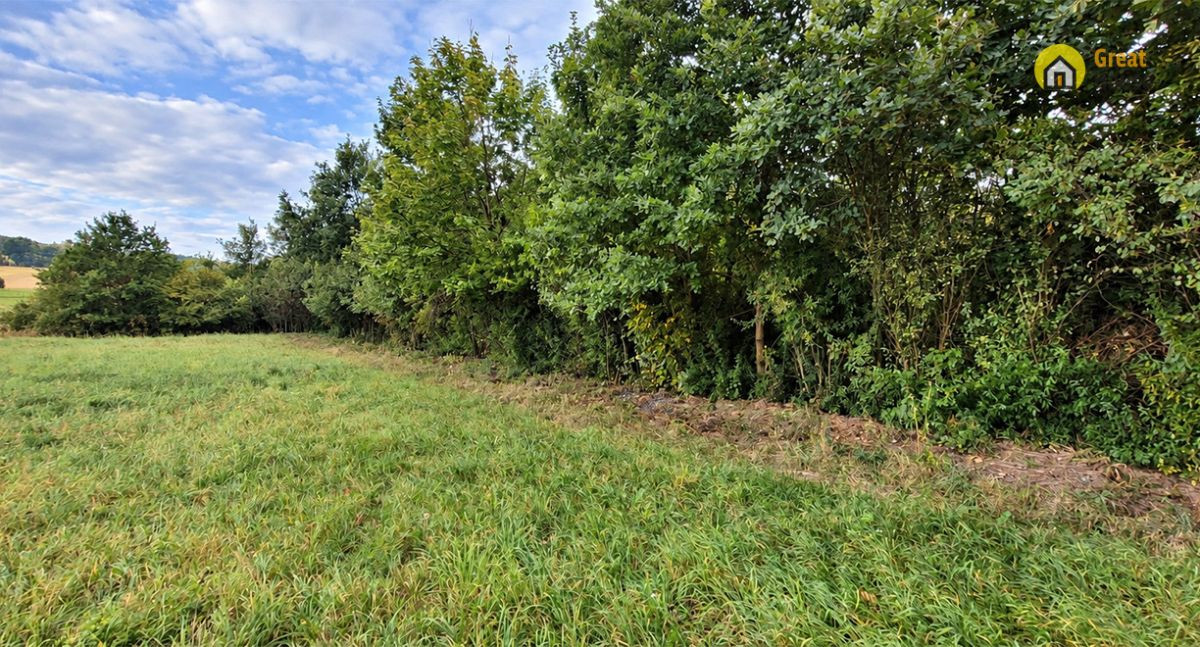 Działka 7700 m² | Brudzów | Gmina Morawica - Widok 4
