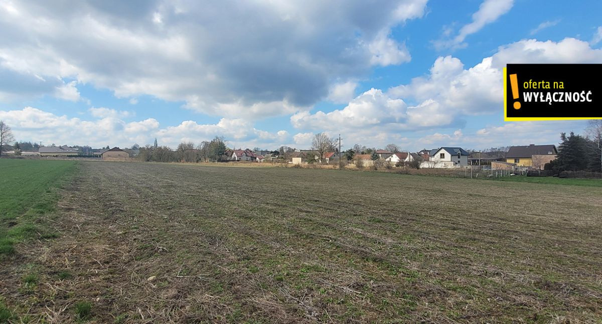 Działka na sprzedaż – Wolica, gmina Chęciny - Widok 5