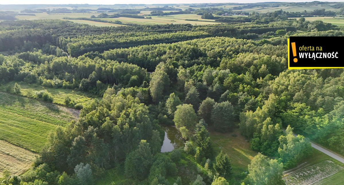 Działka ze stawem i lasem koło Solca Zdroju - More