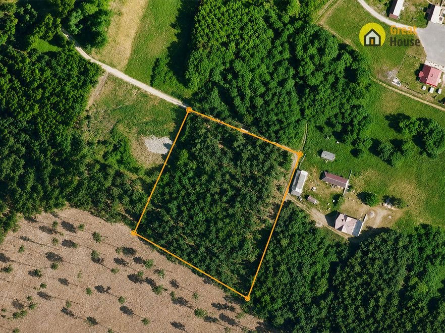 Wyjątkowa działka leśna w Strzegomku - 1,0069 ha - Widok 2