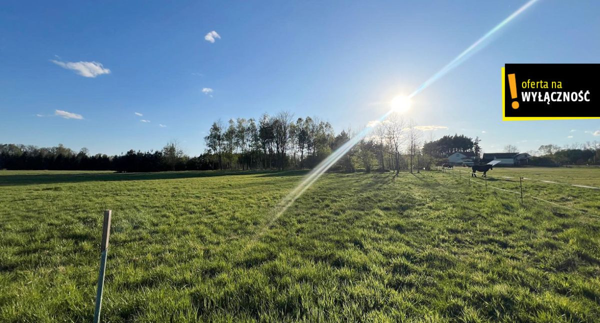 Działka 1268 m² w Rytwianach z warunkami zabudowy - Widok 5