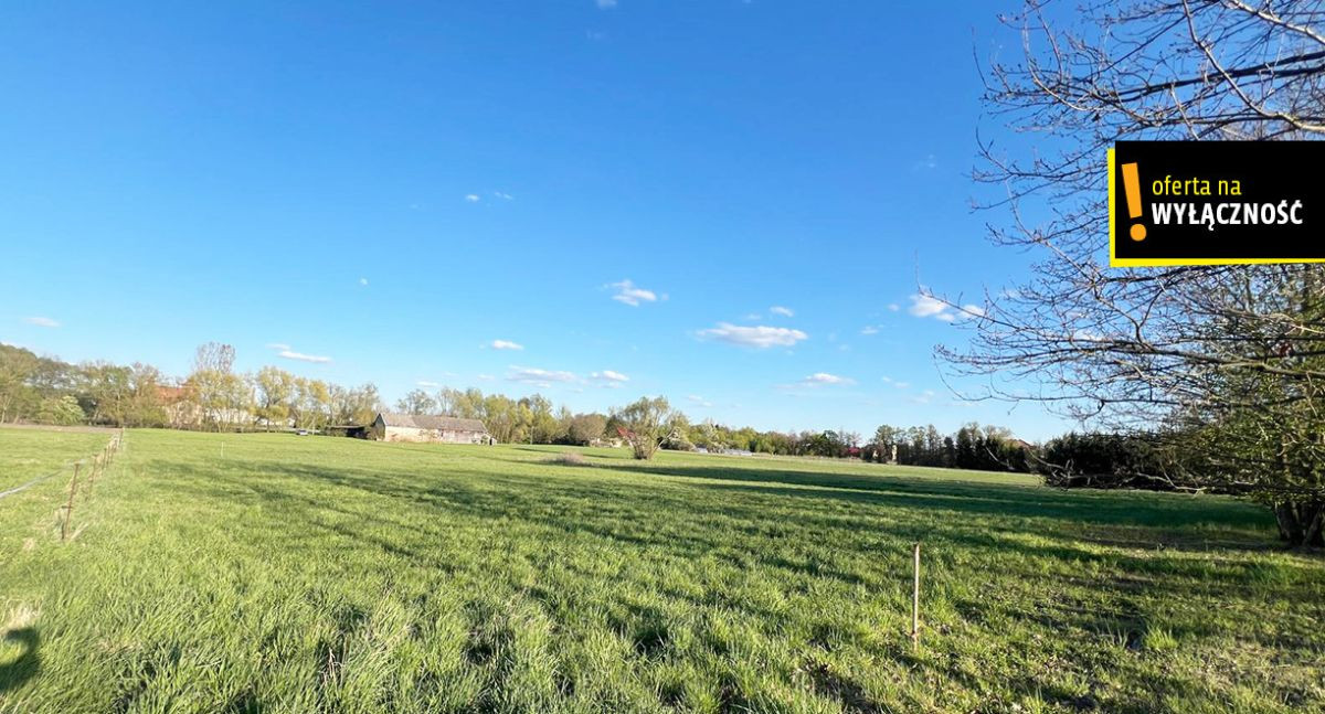 Działka 1268 m² w Rytwianach z warunkami zabudowy - Widok 6
