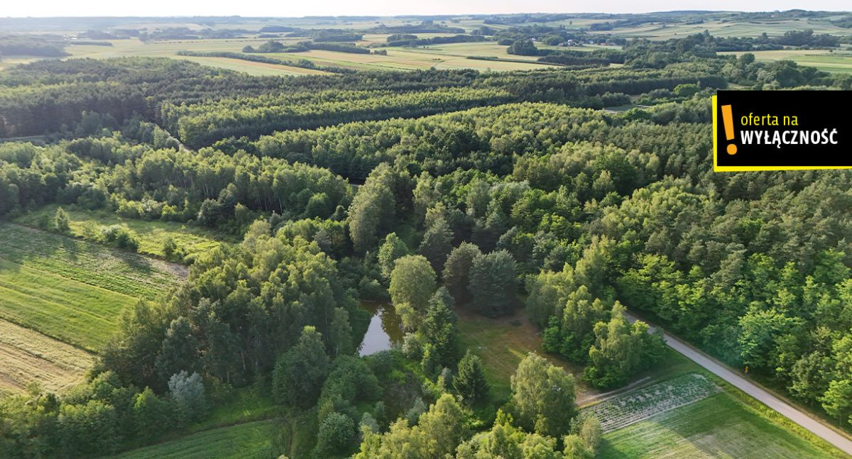 Działka ze stawem i lasem koło Solca Zdroju - View 3