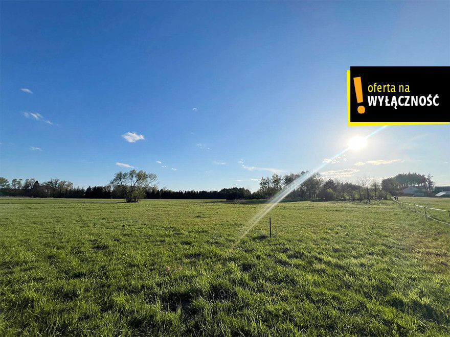 Działka 1268 m² w Rytwianach z warunkami zabudowy - Widok 4