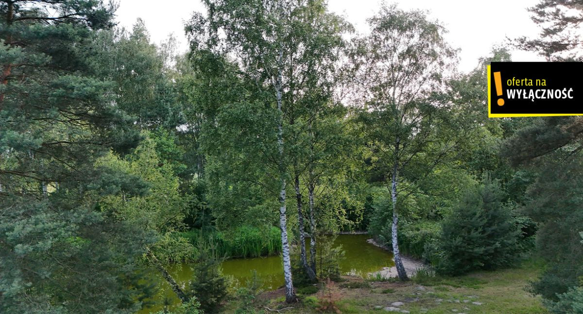 Działka ze stawem i lasem koło Solca Zdroju - View 5