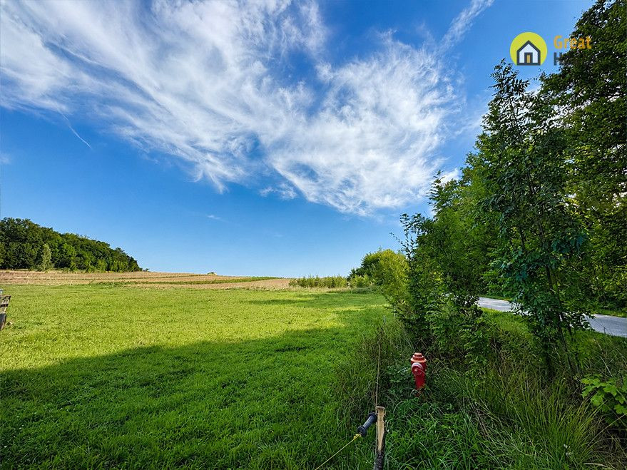 Działka 2464 m² Lasocin | WZ na 2 domy | Łopuszno - Widok 5