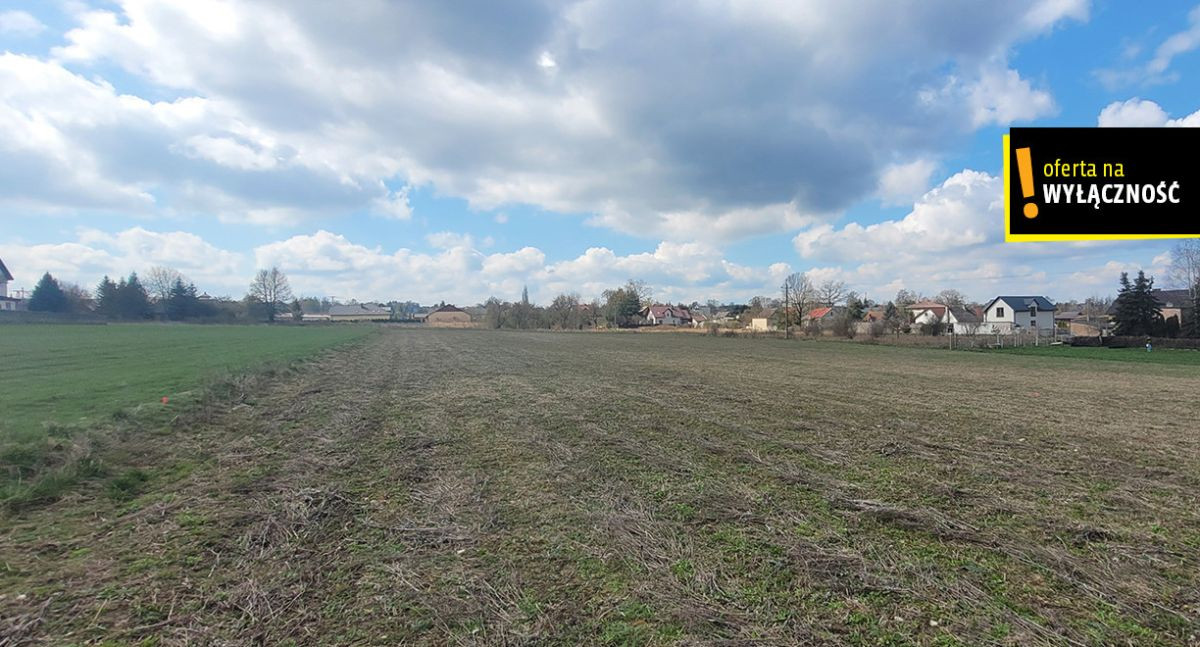 Działka na sprzedaż – Wolica, gmina Chęciny - Widok 4
