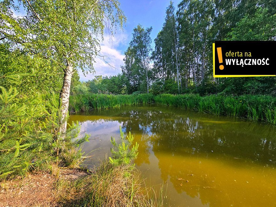 Działka ze stawem i lasem koło Solca Zdroju - View 4