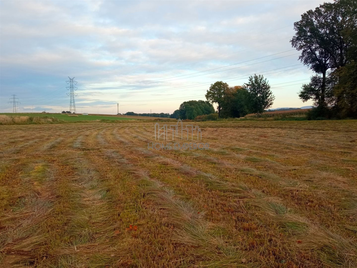 MAGAZYN/LOGISTYKA: 3 działki usługowo-przemysłowe - Widok 5
