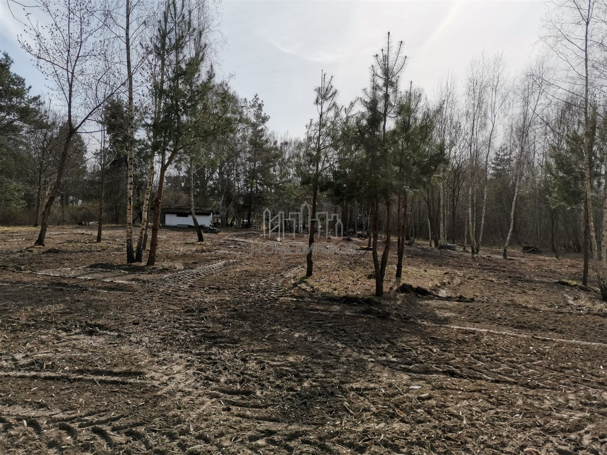 gratka-EMP-GS-5099-31 - Widok 4