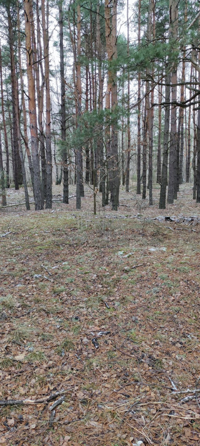 gratka-EMP-GS-5226-25 - Widok 3