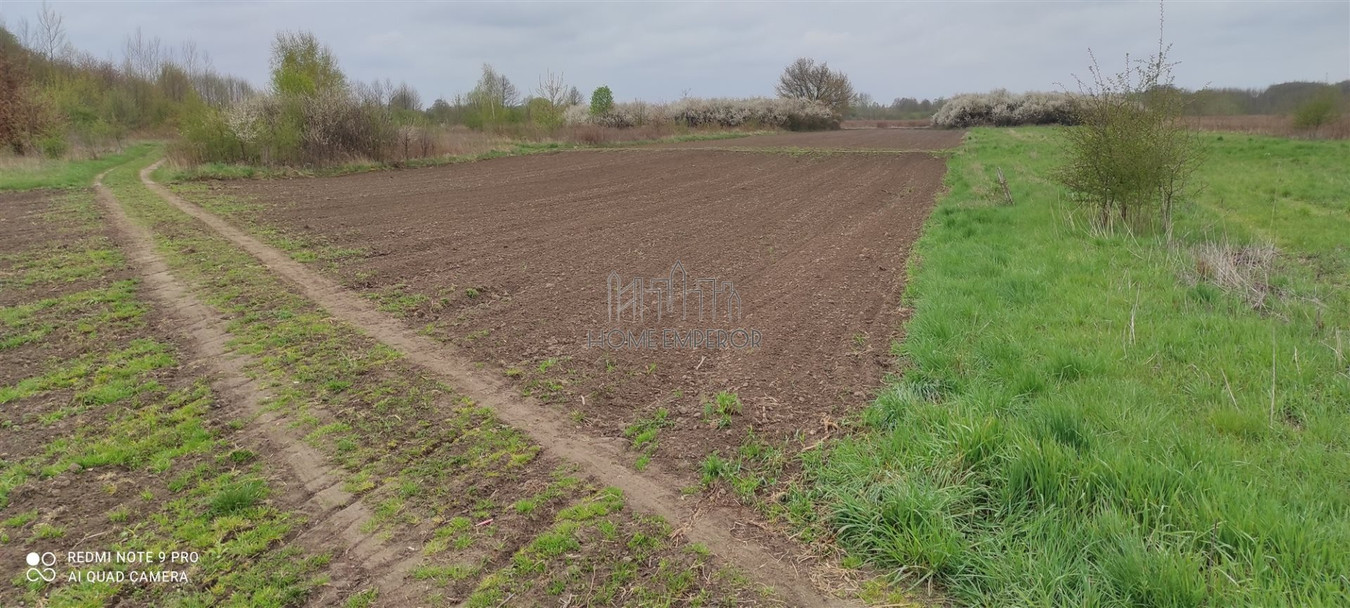 gratka-EMP-GS-4709-59 - Widok 2