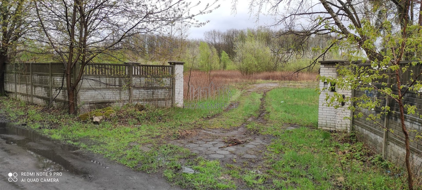 Borowina - Przy Lesie - Widok 5