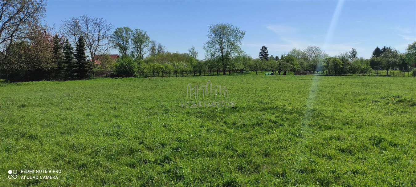 gratka-EMP-GS-4834-57 - Widok 2