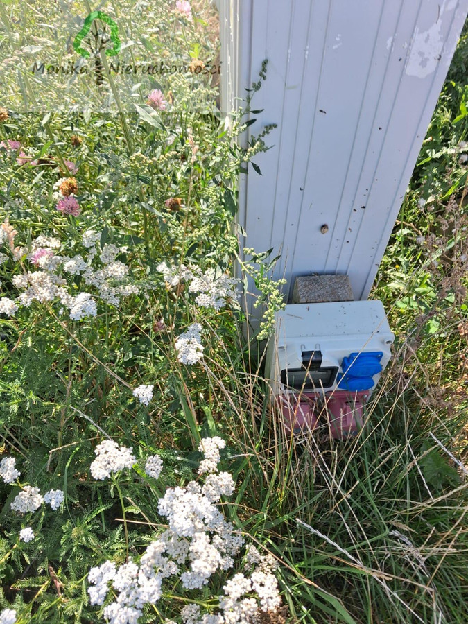 Działka budowlana 996 m² w Tczewie – MPZP – 399 000 zł - Widok 5