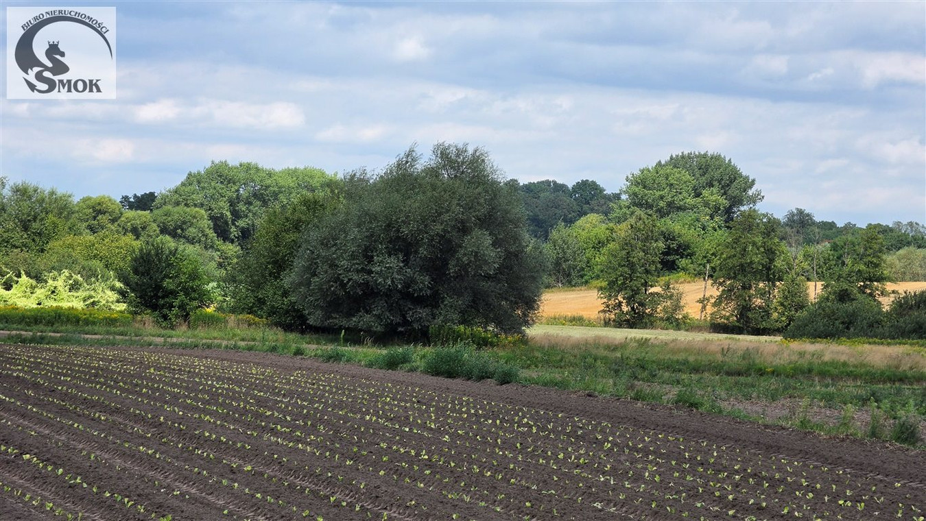 Działki rolne w świetnej cenie w Kościelnikach - Widok 2
