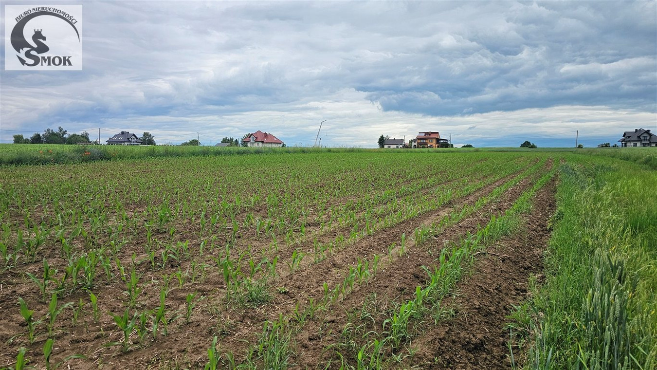Idealna działka, 12 a w Celinach - Widok 5